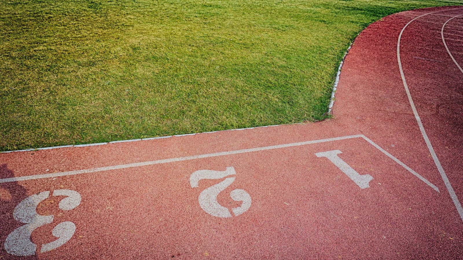 baseball yard